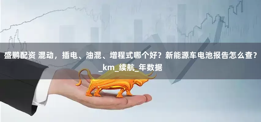 盛鹏配资 混动，插电、油混、增程式哪个好？新能源车电池报告怎么查？_km_续航_年数据