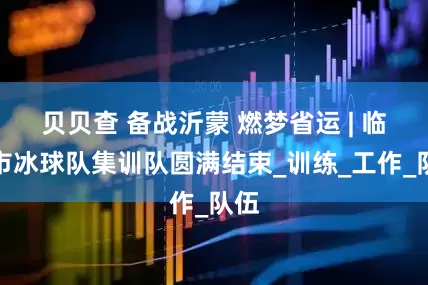贝贝查 备战沂蒙 燃梦省运 | 临沂市冰球队集训队圆满结束_训练_工作_队伍