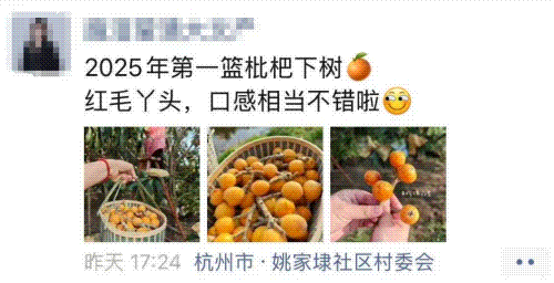 E策略平台 终于上市，便宜的10元/斤！杭州老板电话被打爆，有人提前一个月预定……