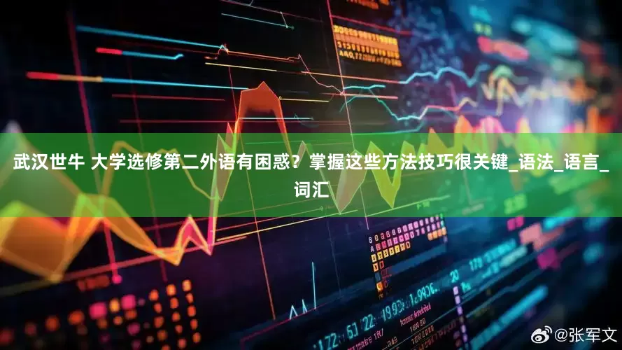 武汉世牛 大学选修第二外语有困惑？掌握这些方法技巧很关键_语法_语言_词汇